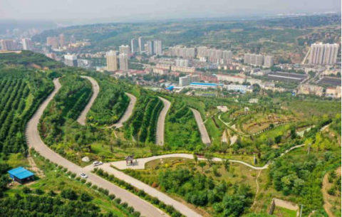 铜川市印台区聚力打造“